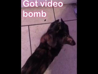 A little tease