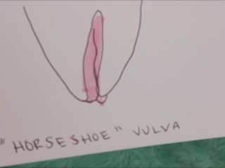 sex ed, all vaginas are unique