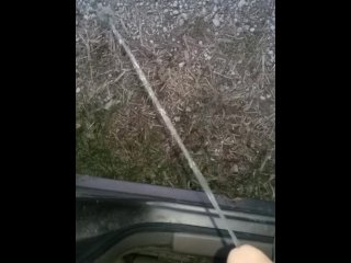 Pissing out my car door