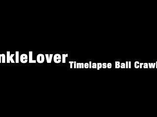CankleLover Time-lapse Ball Crawl 2018-12-25