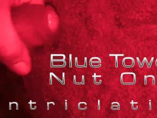 Blue Towel Nut One