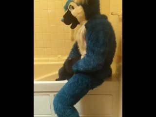 Blue fox on a didlo