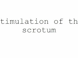 masturbation techniques for men. stimulation of the scrotum.