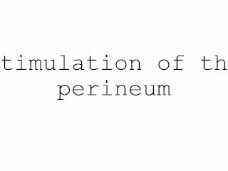 masturbation techniques for men. stimulation of the perineum.