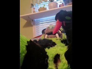 Kitty wants more