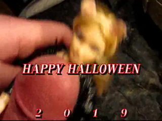 bbb preview (cum only) Halloween 2019: Ana Nova "Catwoman" WMV with SloMo