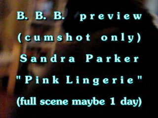 B.B.B. preview: Sandra Parker "Pink Lingerie"(cum only) AVI no Slomo