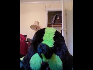 Fursuiter stuffs hole