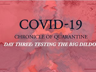 COVID-19: Chronicle of quarantine  Day 3 - Testing the big dildo