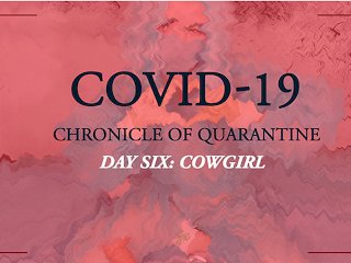 COVID-19: Chronicle of Quarantine  Day 6 - Cowgirl