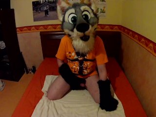 Cute fox masturbates while being filmed and finishes with closeup cumshot