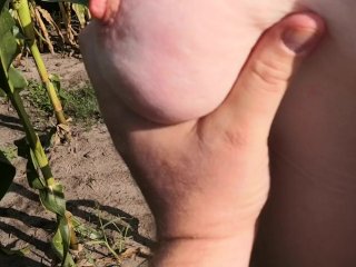 Torture my ass, tits and pussy in public corn field