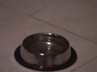 ulf have to drink pee in dungeon from bowl