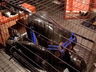 Relentless anal plowing of a restrained rubber gimp in a cage, locked in chastity and gagged