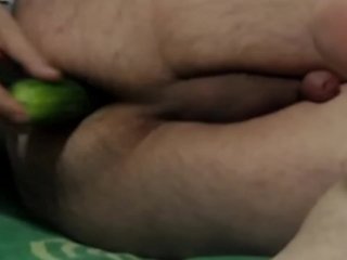Anal cucumber