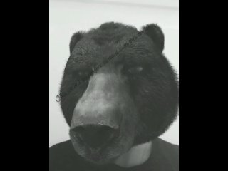 Bear in heat