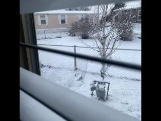 Nothing better than a snow view after sex with a warm fire