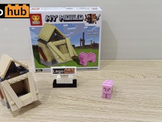Vlog 19: A Lego Minecraft pig and its cute little house