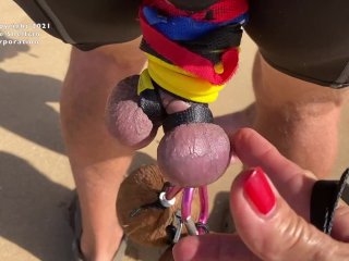 CBT for Ecstasy I love a walk on the beach with my owner
