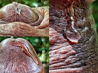 Horny Solo Male with Huge BBC is Obsess with Playing with his Precum Extreme Close Up Precum Play HD