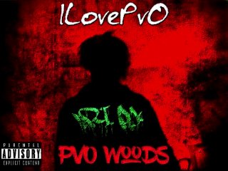 ILovePvO - PvO Woods 5