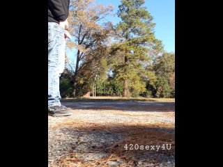 Dick out at a public park!