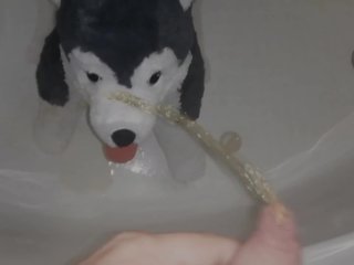 Hauge dog Peeing#3