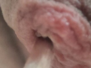 Close up Uncut Pee (macro lens) 