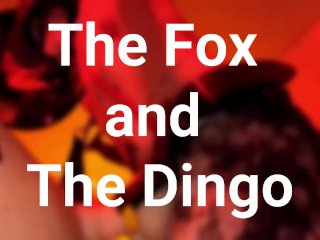 The Fox and The Dingo