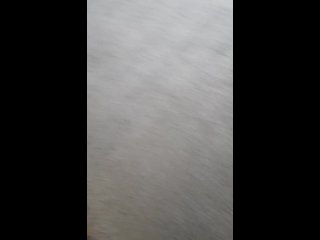 Pissing in apartment building... again!