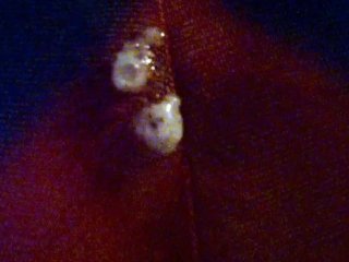 Creampie breeding cums thru panties