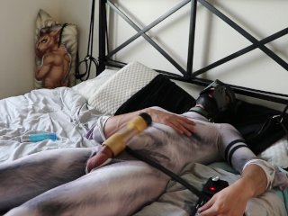 Pup wearing petsuit cums big using Venus 2000 milker