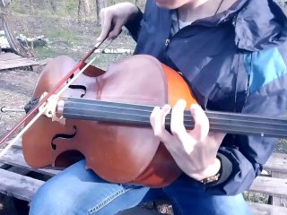 Проспект Ананаса - Попслеер