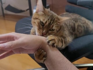 When you pet the furry pussy, she grooms you in return ... . Bites hurt.