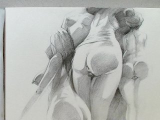Girls in a group expose their ass and pussie for arts sake