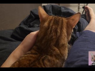 Furry pussy pampering you .... You waking up with a massage