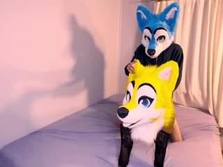 Furry mating ends with HUGE cumshot!!