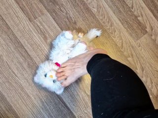 Wifey crushs cat toy with her feet