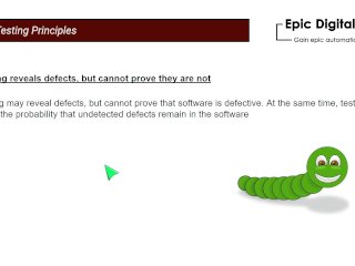 Seven Testing Principles