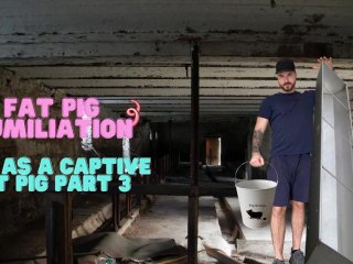 Fat humiliation - life as a slave fat pig part 3