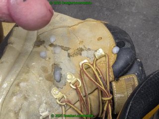 2 cumshots on dirty timberland work shoes