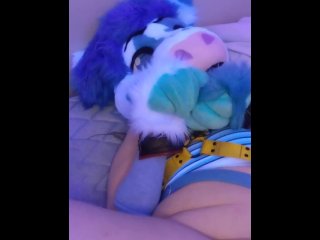 Don't Bully Me :c
