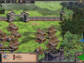 【Age Of Empire 2】004 6 Malays ganbanging Mongols and Celts civilian