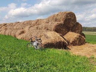 Прогулка на велосипеде закончилась минетом на стоге сена.