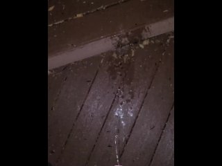 Piss On The Porch 《4k》