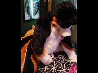 Murrsuiter cumming in slow motion from humping his paws