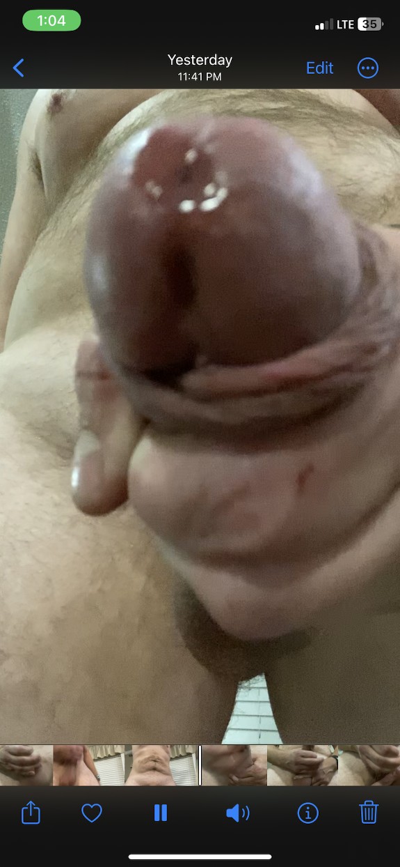 Bull Cock For Your Wife