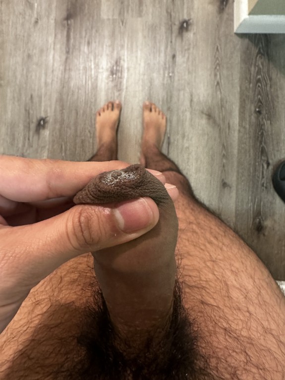 Dapornhouse cock 