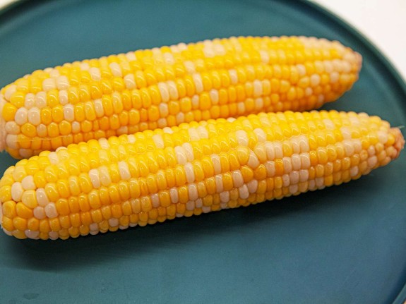 corn 1s a fruit photo