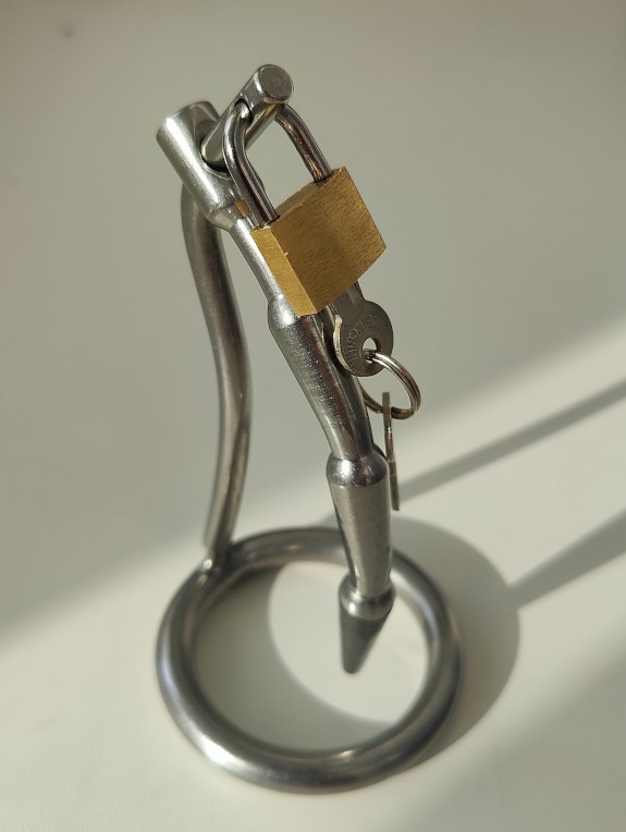 My chastity cages
